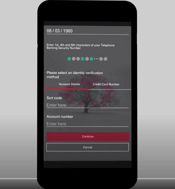 HSBC-adgangskodeindtastningseksempel