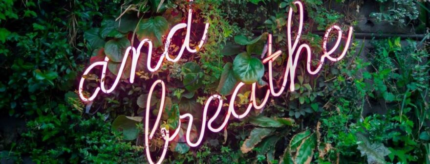 Konfliktløsningstips til håndtering og løsning af konflikter med klienter