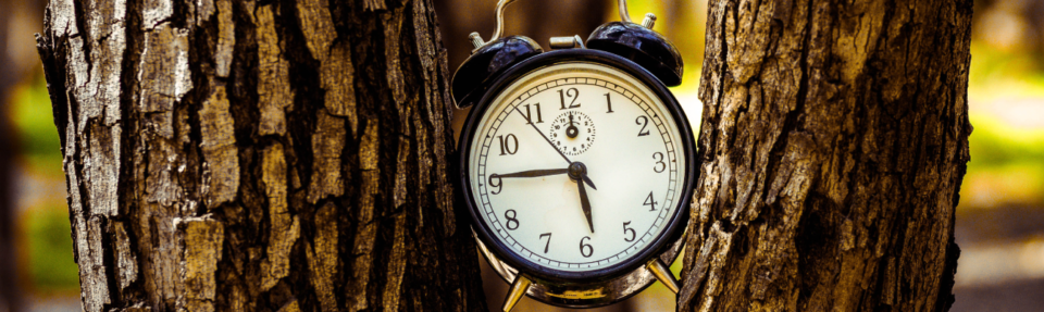 Sådan leverer du den bedste kundesupport i realtid i 2025