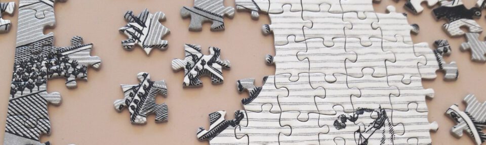 Hvorfor bør du integrere software?