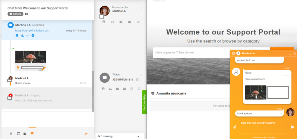 LiveAgent - realtidsvisning af skrivning