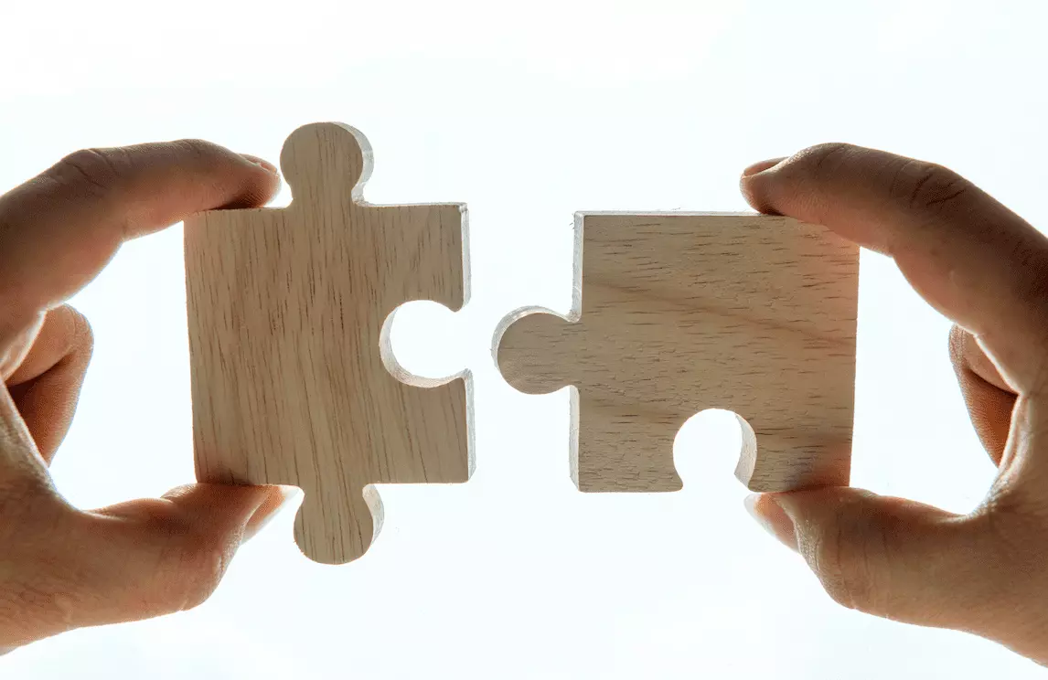 Typer af software og systemer, der kan integreres