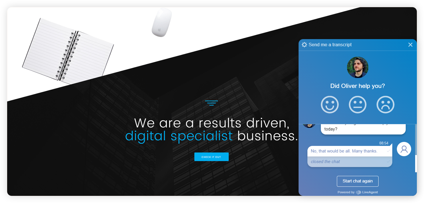 Eksempel på virksomheds agentvurderingsvindue