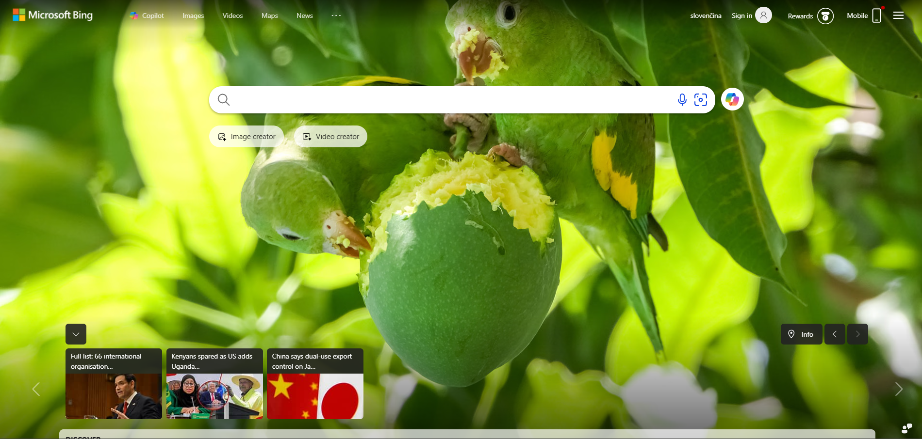 Bing Help Desk Kontakter