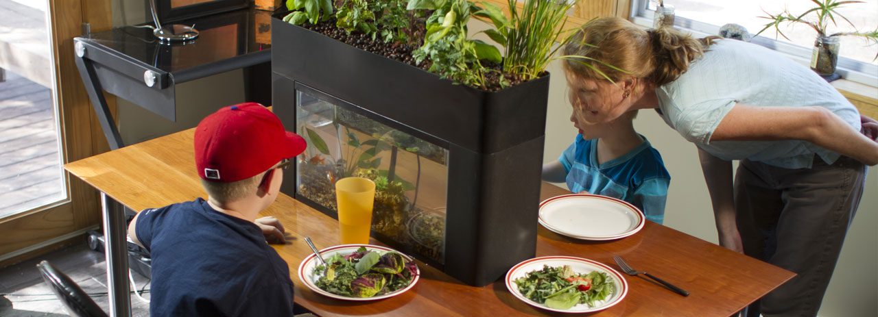 AquaSprouts bæredygtighed