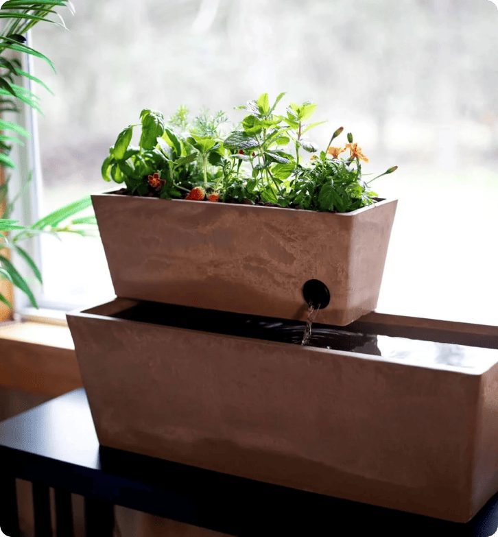 Hvordan AquaSprouts opnår 96,5% kundetilfredshed med LiveAgent