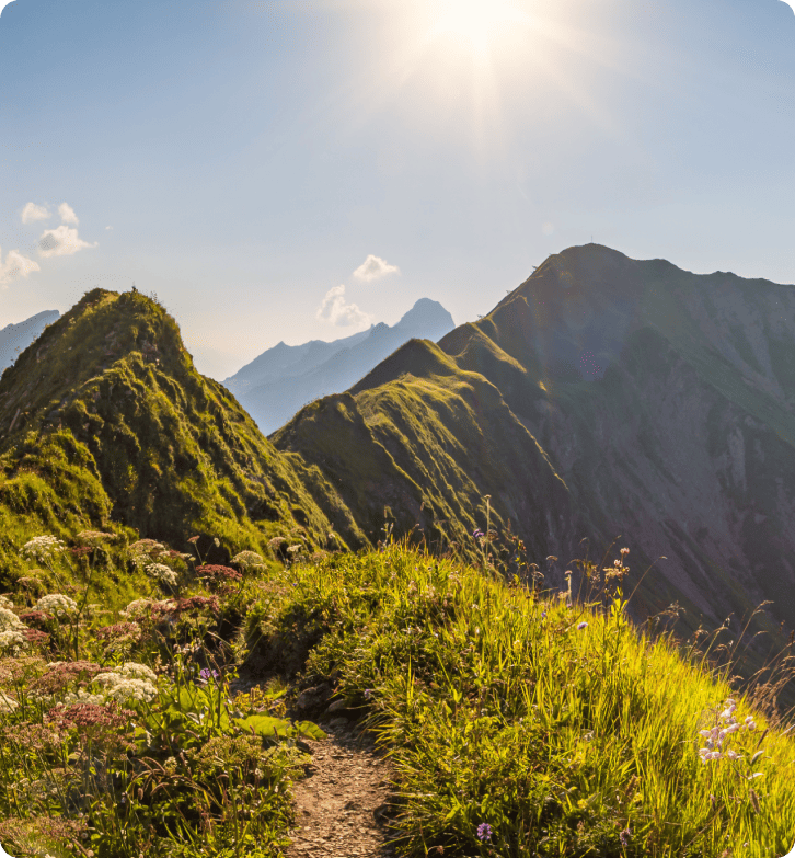 Hvordan ZlavaDna forbedrede kundesupport med LiveAgent