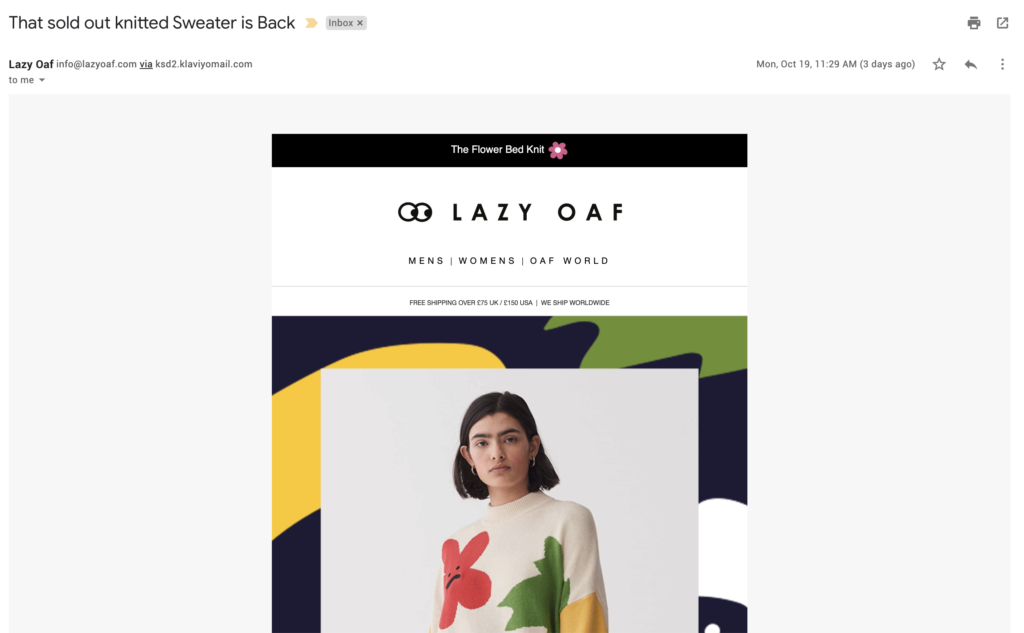 Lazy Oaf last chance email